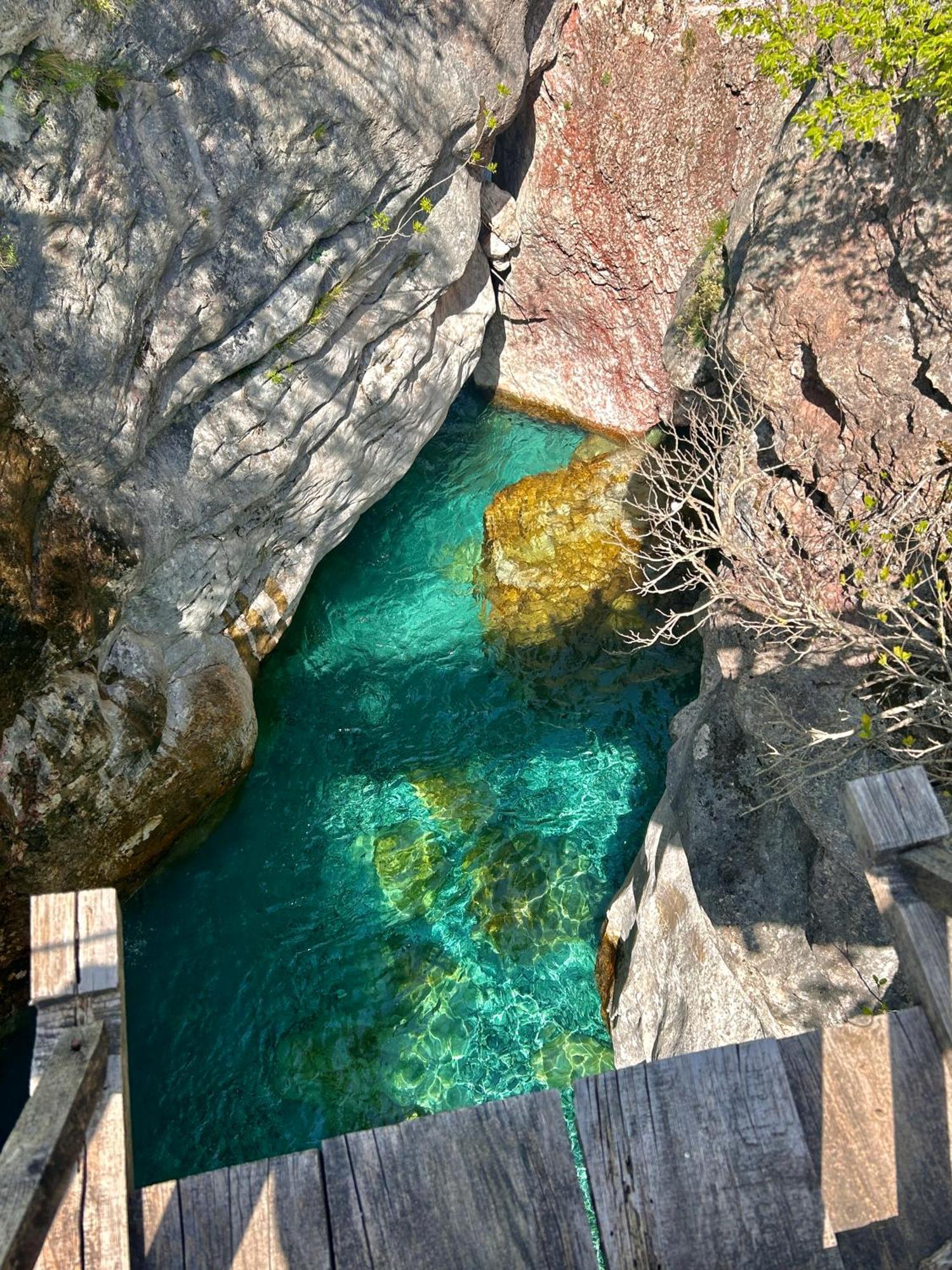 Shkodra Hostel & Day Tours מראה חיצוני תמונה